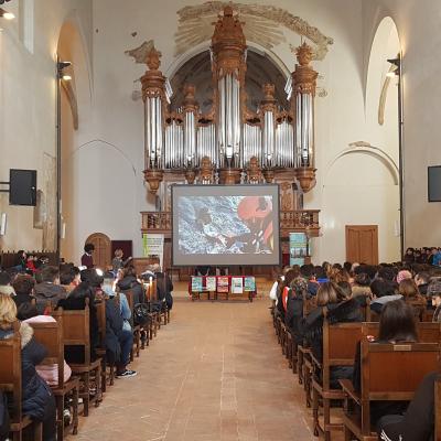 Tareke Branhe A.S.2018/2019